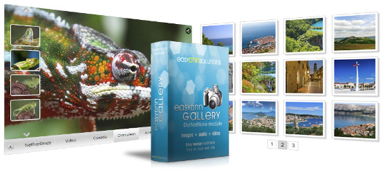 Integration with EasyDNNgallery