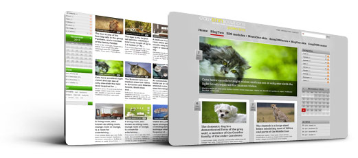 Magazine layout