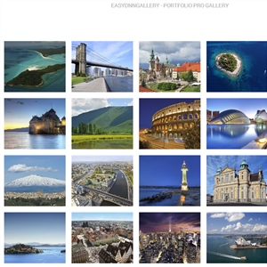 Portfolio Pro gallery