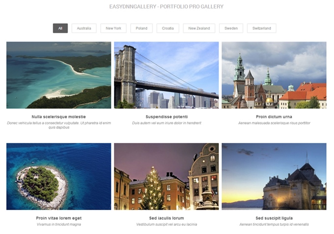 Portfolio Pro gallery