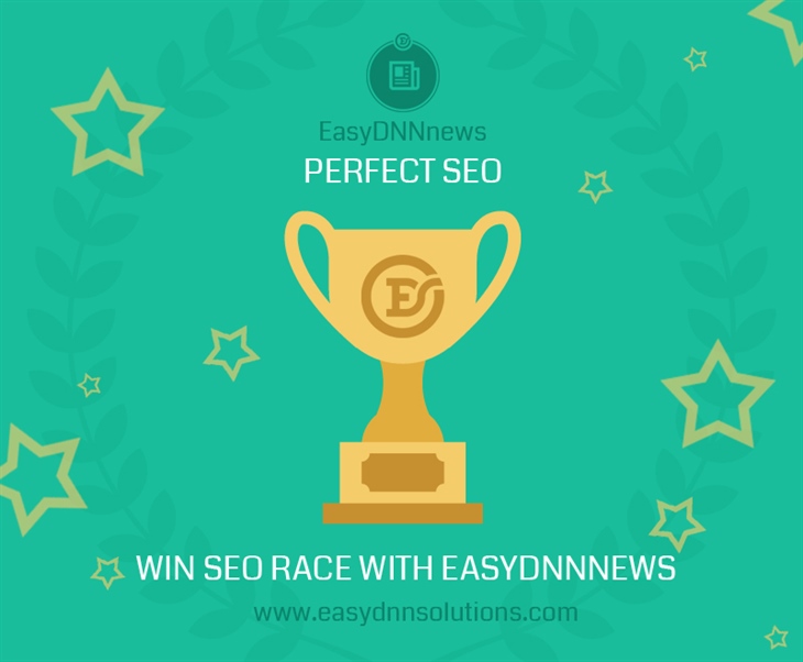 Perfect SEO with EasyDNNnews DNN module